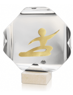 Trofeo De Snowboard