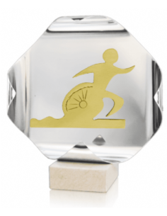 Trofeo De Triatlon