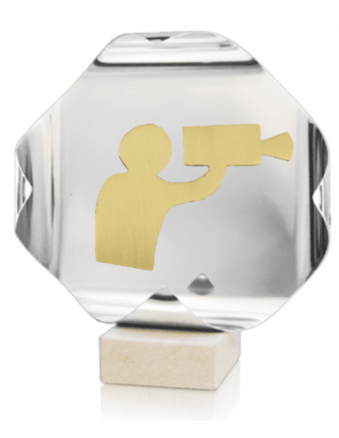 Trofeo De Video
