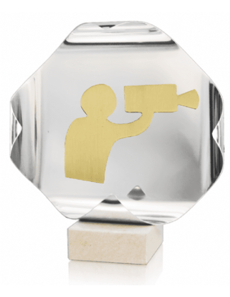 Trofeo De Video