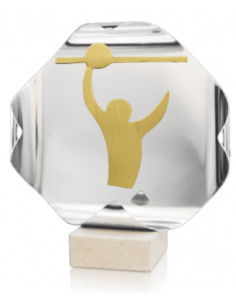 Trofeo De Voleybol