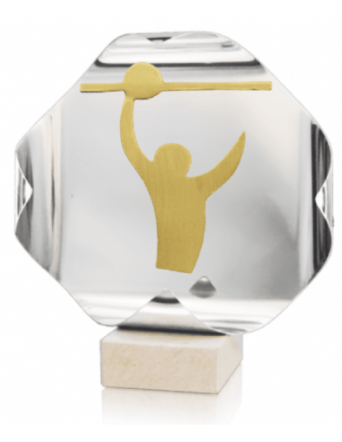 Trofeo De Voleybol