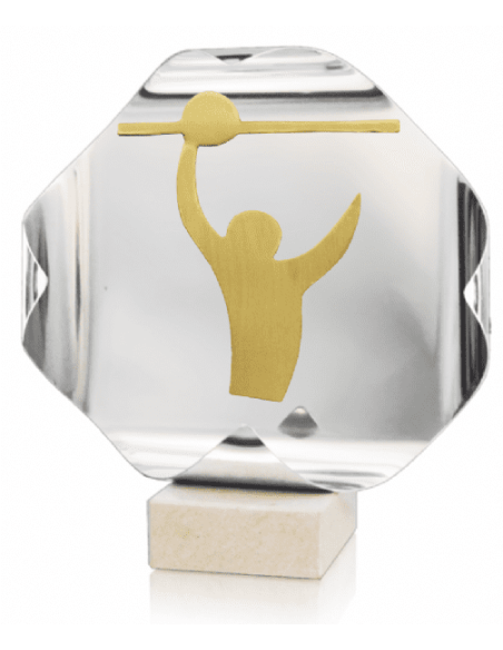 Trofeo De Voleybol