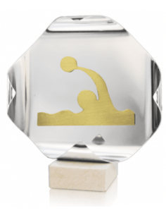 Trofeo De Waterpolo