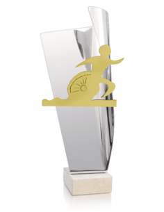 Trofeo De Triatlon