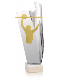 Trofeo De Voleybol