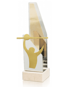 Trofeo De Voleybol