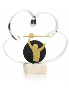 Trofeo De Voleybol