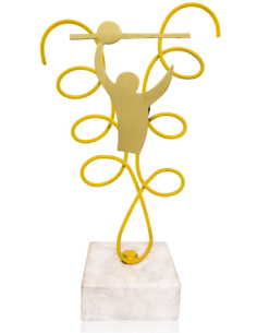 Trofeo De Voleybol