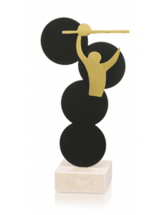 Trofeo De Voleybol