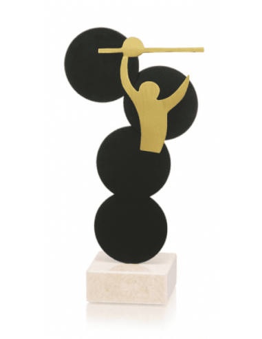Trofeo De Voleybol