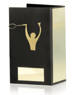 Trofeo De Badminton