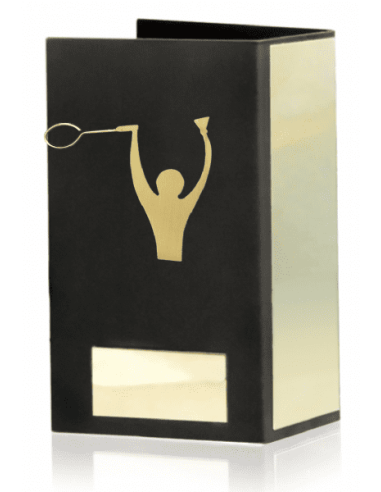 Trofeo De Badminton
