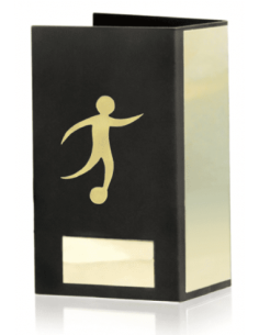 Trofeo De Futbol