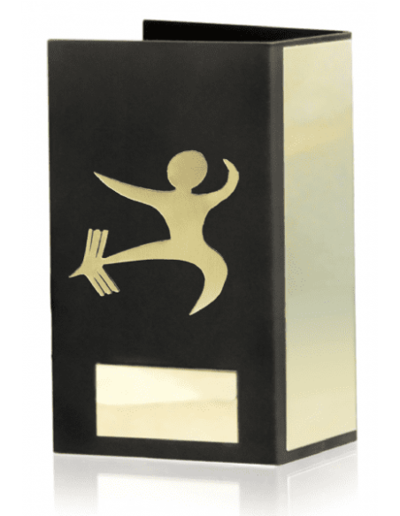 Trofeo De Karate