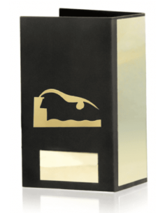 Trofeo De Natacion