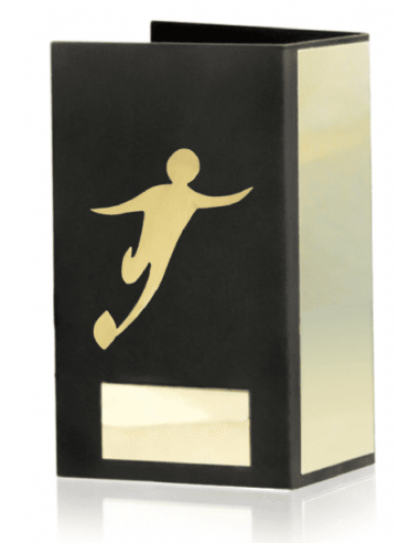 Trofeo De Rugby