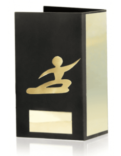 Trofeo De Snowboard