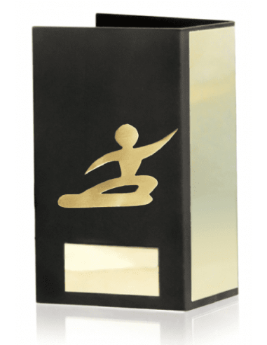 Trofeo De Snowboard
