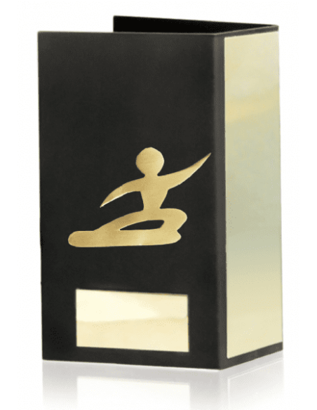 Trofeo De Snowboard