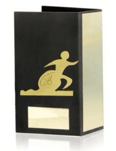 Trofeo De Triatlon