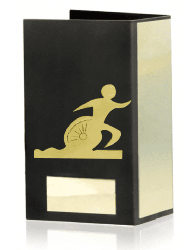 Trofeo De Triatlon