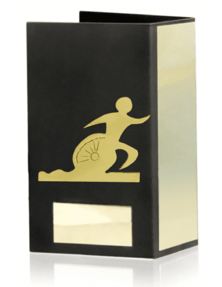 Trofeo De Triatlon