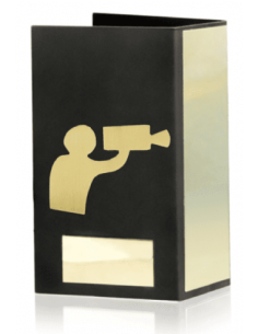 Trofeo De Video