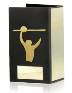 Trofeo De Voleybol