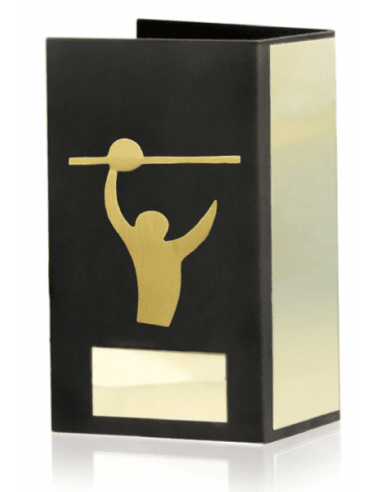 Trofeo De Voleybol