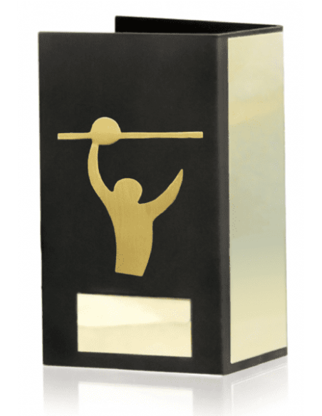 Trofeo De Voleybol