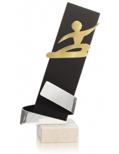 Trofeo De Snowboard