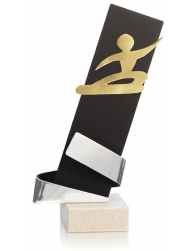 Trofeo De Snowboard