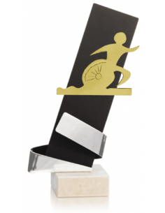 Trofeo De Triatlon