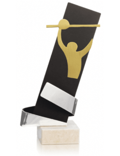 Trofeo De Voleybol