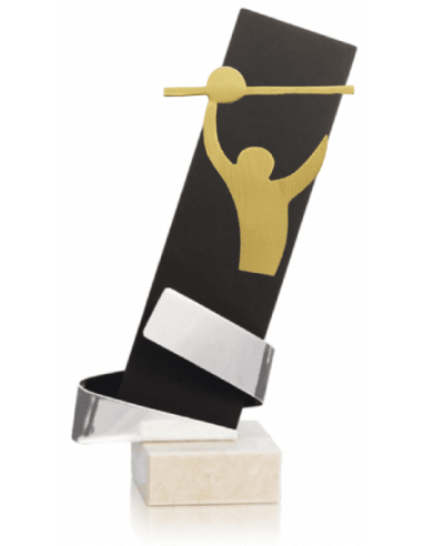Trofeo De Voleybol