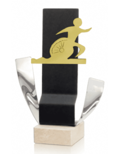Trofeo De Triatlon