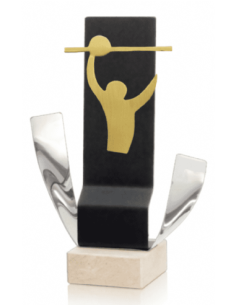 Trofeo De Voleybol