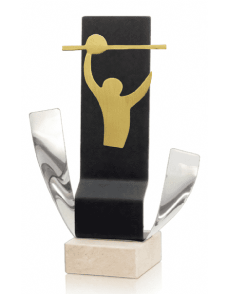 Trofeo De Voleybol