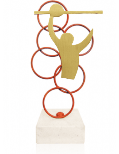 Trofeo De Voleybol
