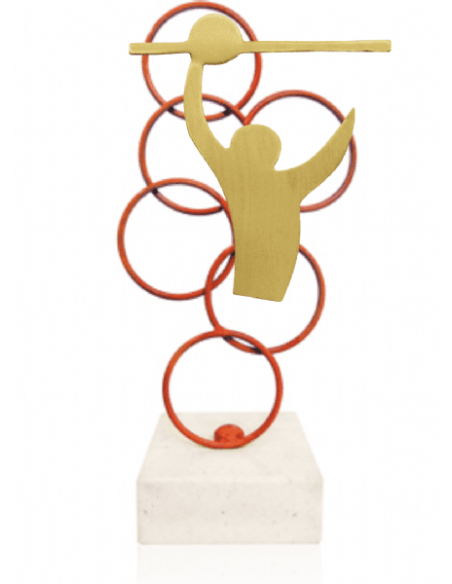 Trofeo De Voleybol