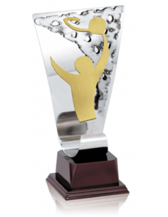 009 Trofeos de BALONCESTO&nbsp;economicos personalizados en Valencia