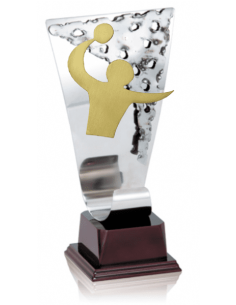 009 Trofeos de BALONMANO&nbsp;economicos personalizados en Valencia