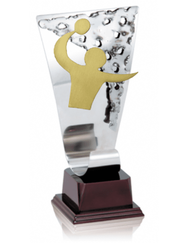009 Trofeos de BALONMANO&nbsp;economicos personalizados en Valencia