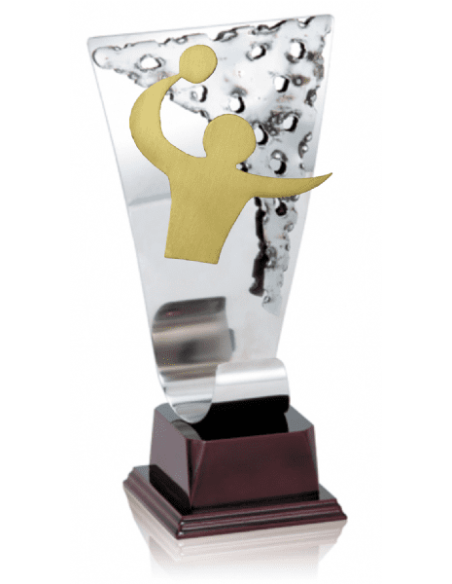009 Trofeos de BALONMANO&nbsp;economicos personalizados en Valencia