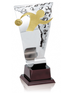 009 Trofeos de BOLOS&nbsp;economicos personalizados en Valencia