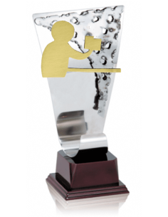 010 Trofeos de CARTAS&nbsp;economicos personalizados en Valencia