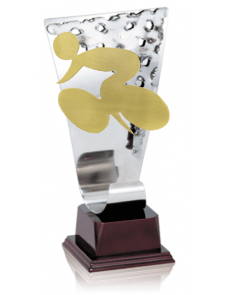 012 Trofeos de CICLISMO&nbsp;economicos personalizados en Valencia