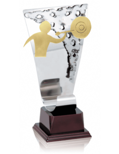 013 Trofeos de DARDOS&nbsp;economicos personalizados en Valencia