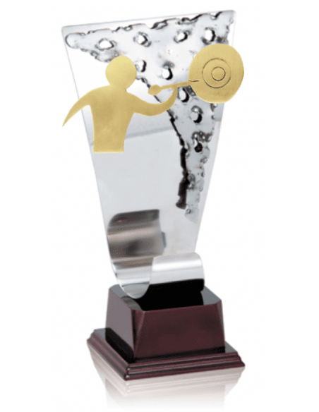 013 Trofeos de DARDOS&nbsp;economicos personalizados en Valencia